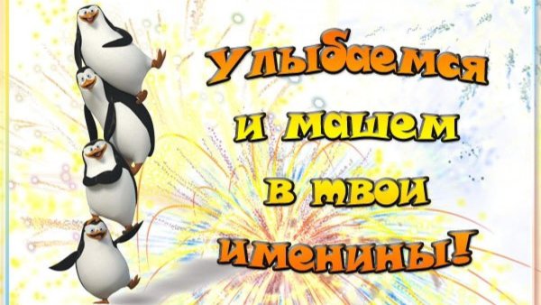 пингвин из мадагаскар