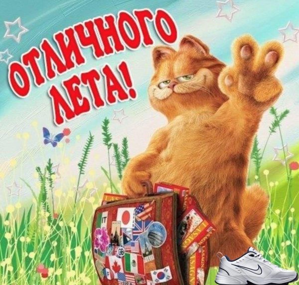 гарфилд 2