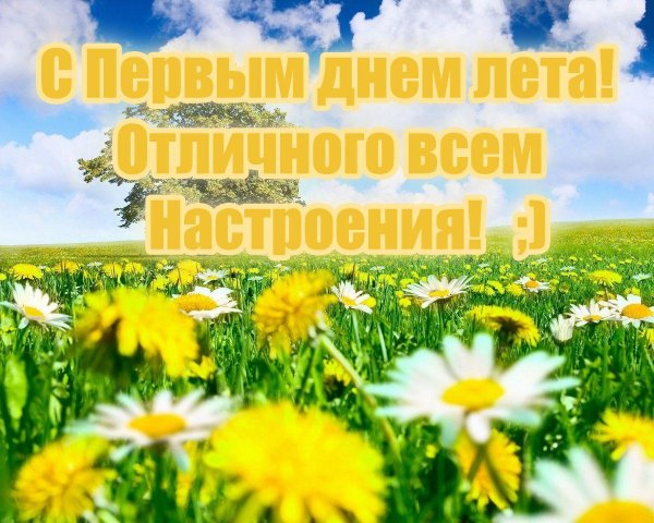 открытка лето