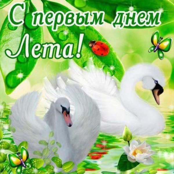 открытка лето
