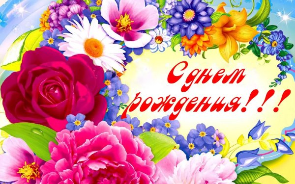 День рождения яна