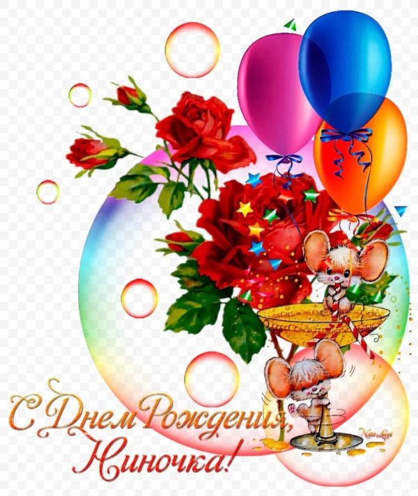 с днем рождения нина
