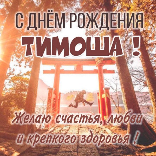 тимоша с днем рождения открытки