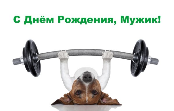 с днем рождения качку