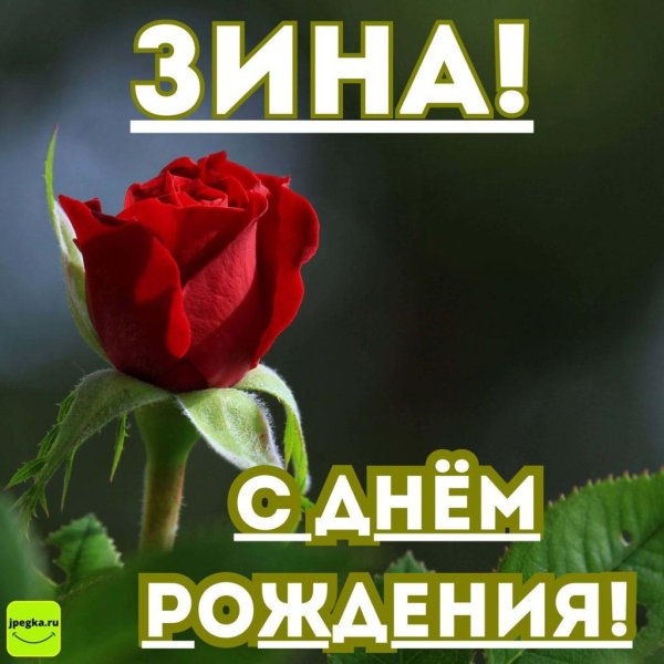 зина с днем рождения