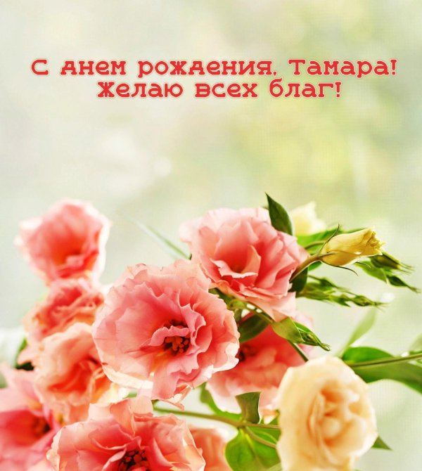 с днем рождения зиночка