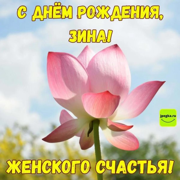 цветки лотоса