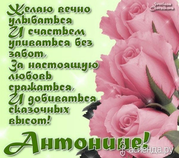 поздравление с днём рождения женщине антонине