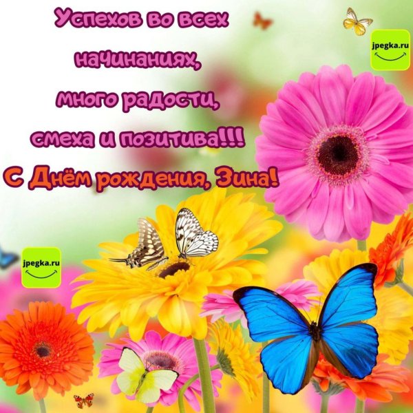 бабочка цветок