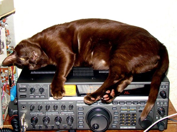 старый радиолюбитель