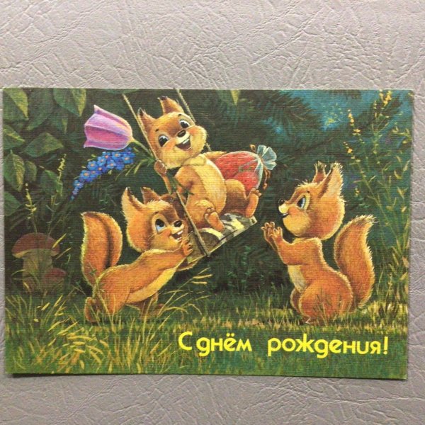 художник зарубин белочки