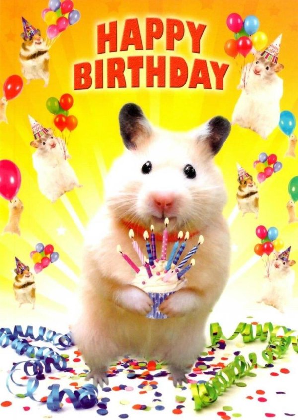 с днем рождения хомяк