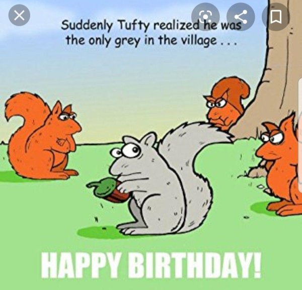 happy birthday squirrel