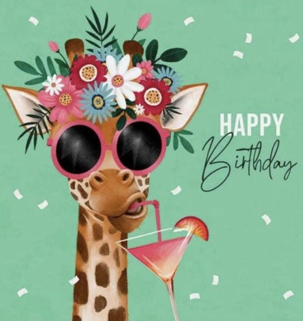 милые жирафы