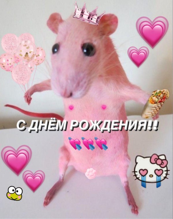 розовая крыса