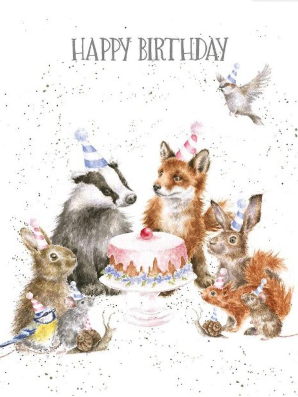 животные иллюстрации