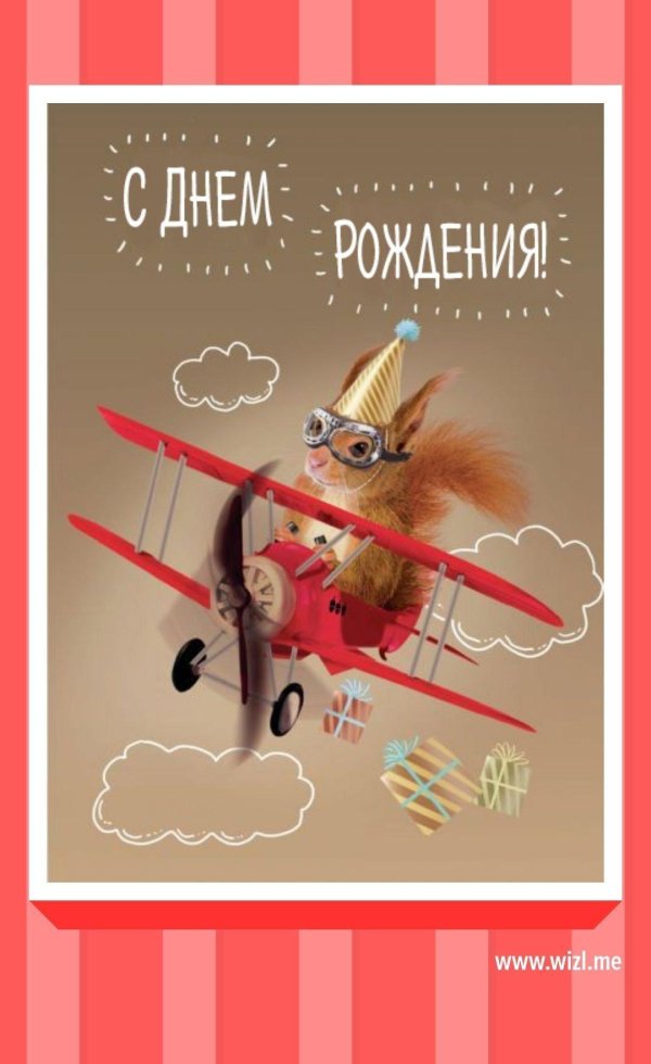 белка в самолете