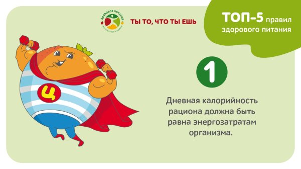 пять правил здорового питания