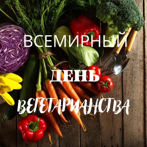 день вегана 1 ноября