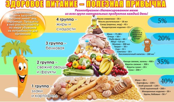 правильное и здоровое питание