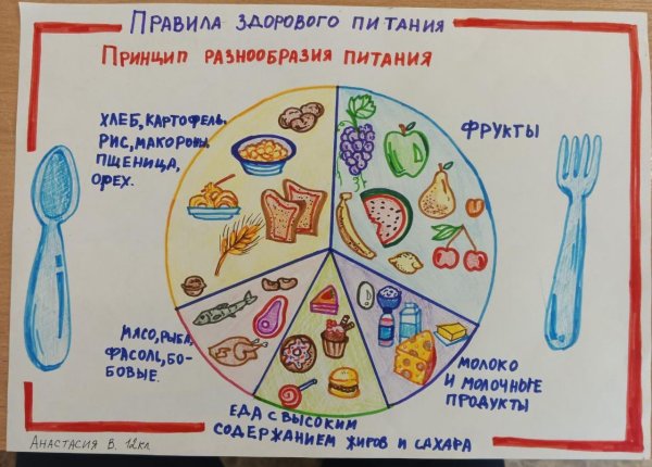 рисунок на тему правильное питание