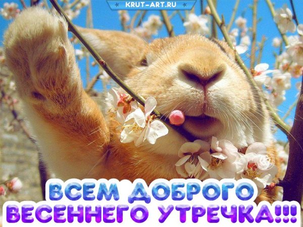 животные весной