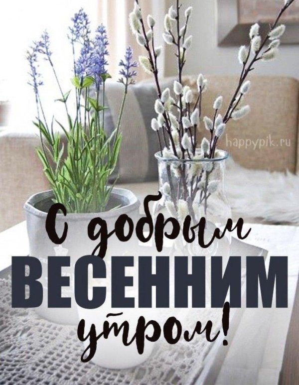 добрейшего весеннего утра