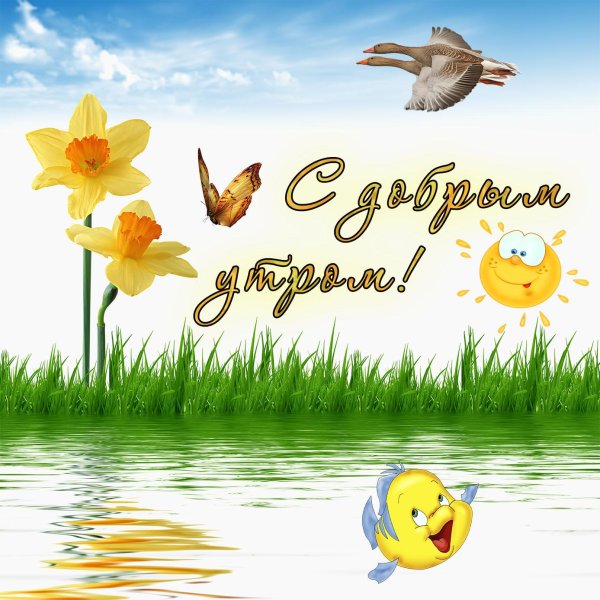 открытки доброе утро