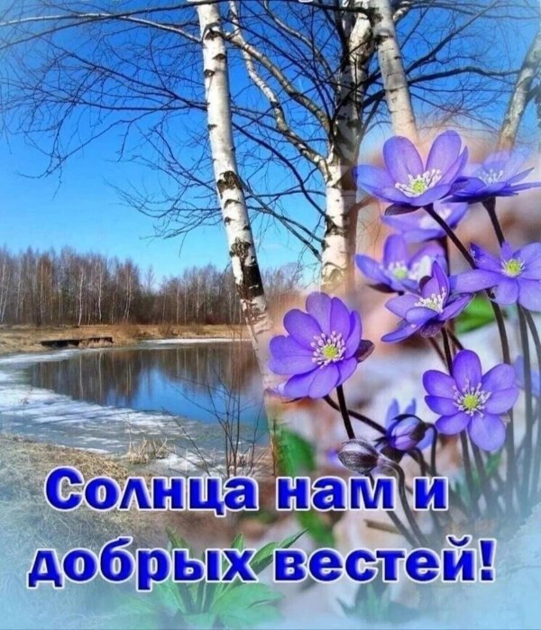 весна деревня апрель проталины