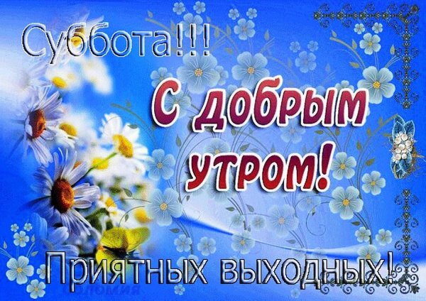 с добрым утром днем