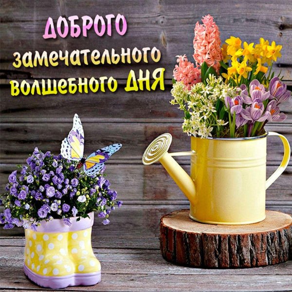композиция в лейке
