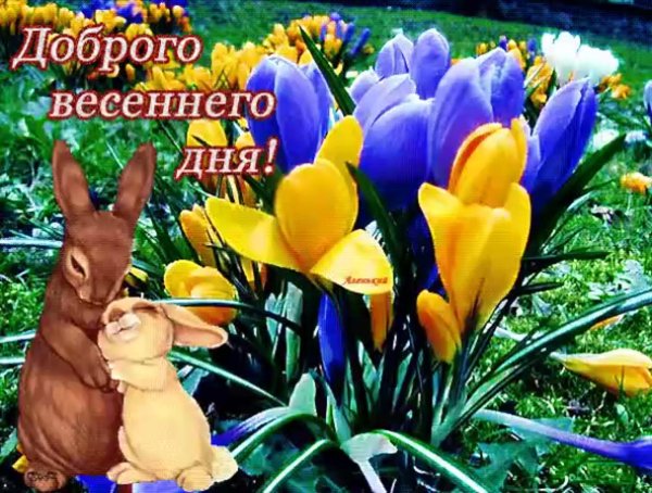 открытки добрый день весенние красивые