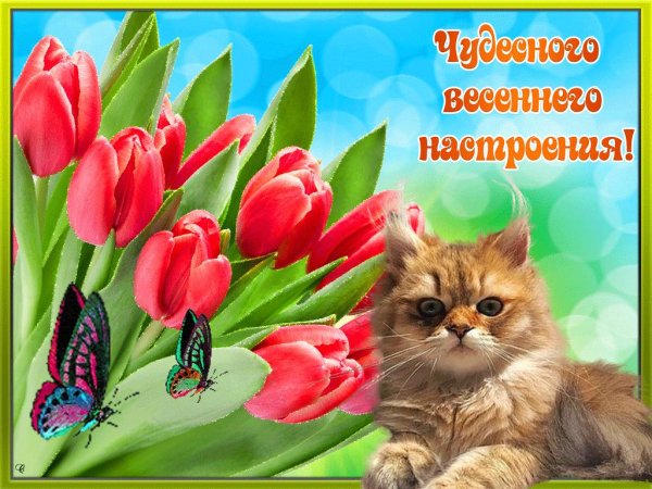 весеннего настроения