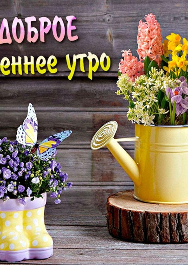 открытки с добрым утром последний день весны