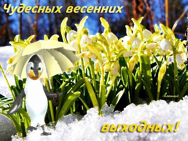 Добрый день весенние