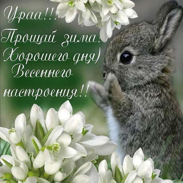 маленькие зайчики