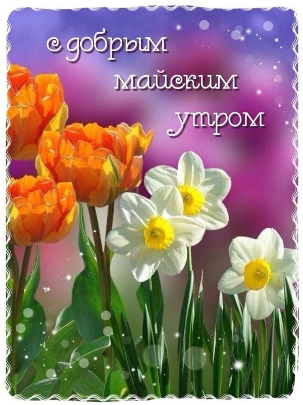 доброго утра весна