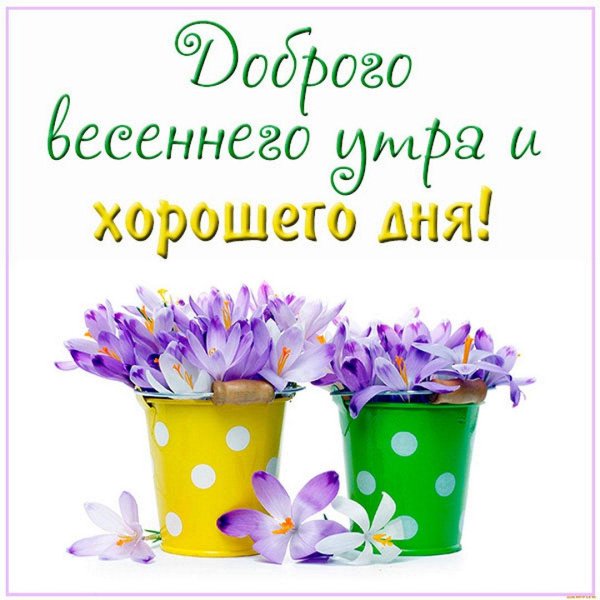 весенние пожелания