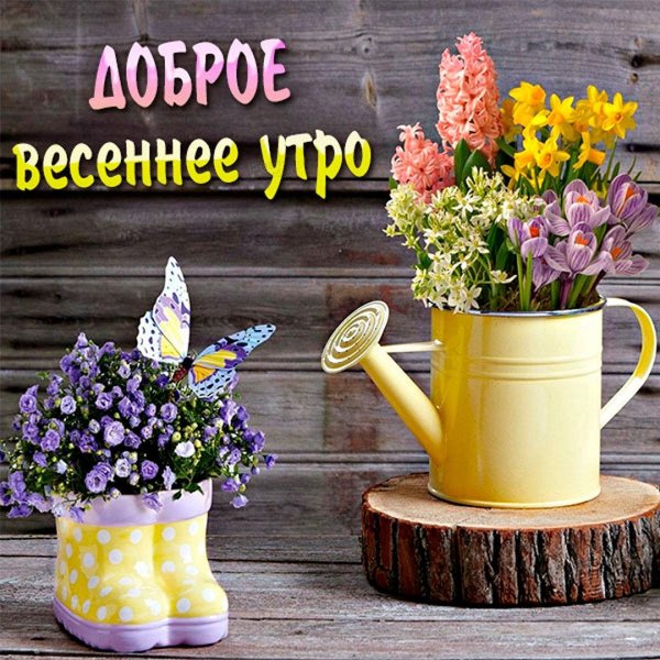 весенние цветы