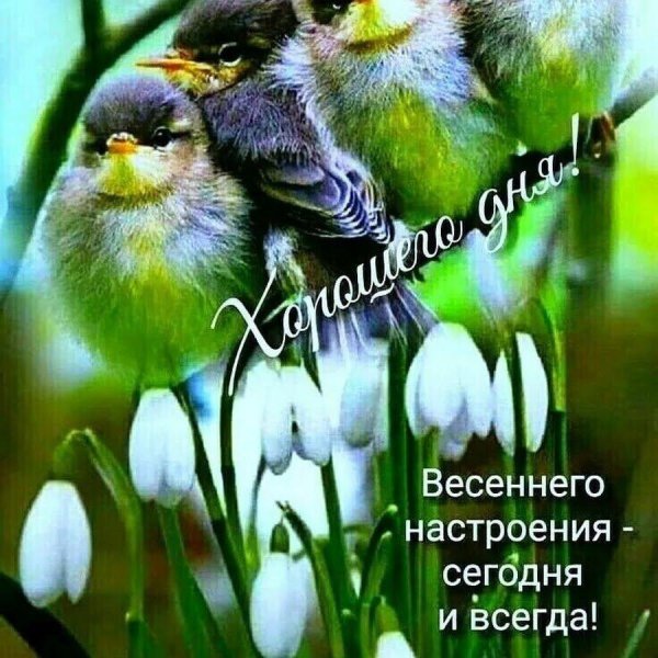 красивые весенние открытки