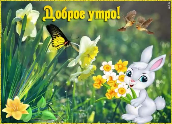 открытки с добрым утром