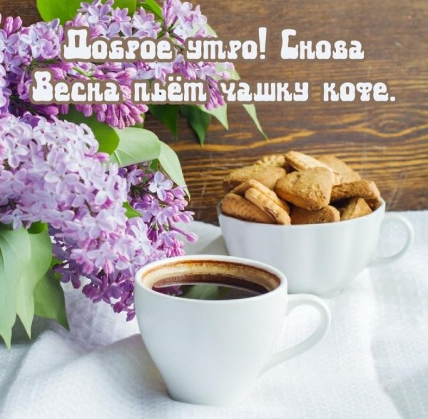 доброе утро с сиренью