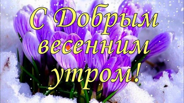 добрейшего весеннего утра