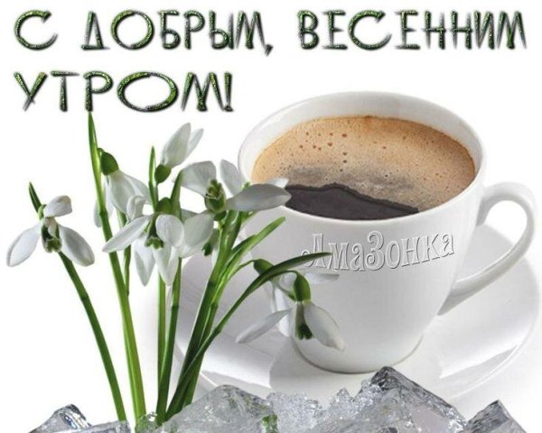 добрейшего весеннего утра