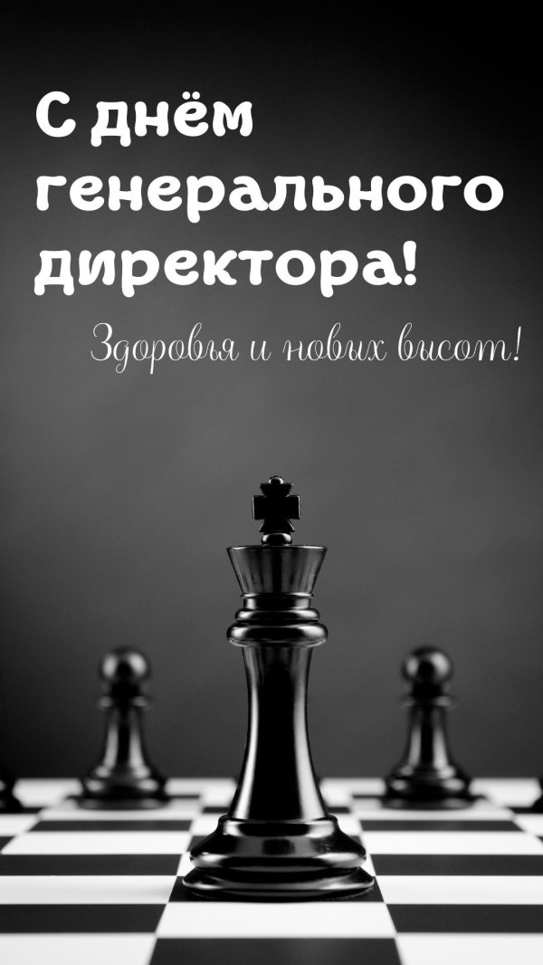 генеральному директору