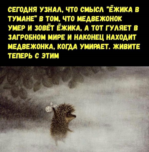 Ежик в тумане