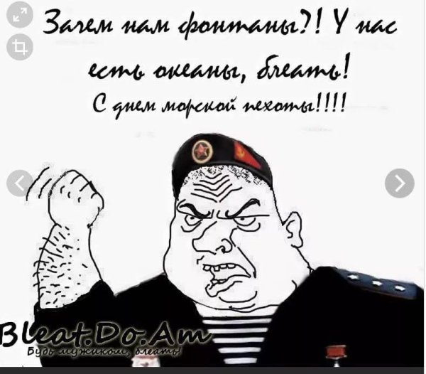 с днем морской пехоты прикольные