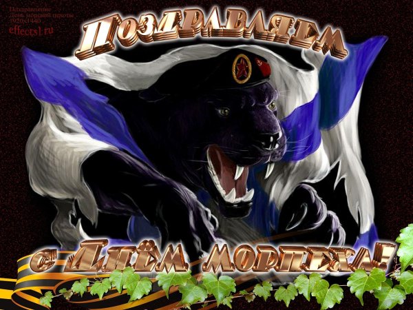 морская пехота россии пантера