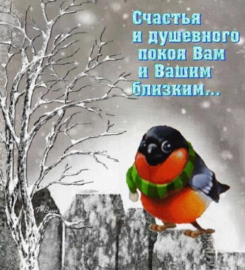 снегири на ветках