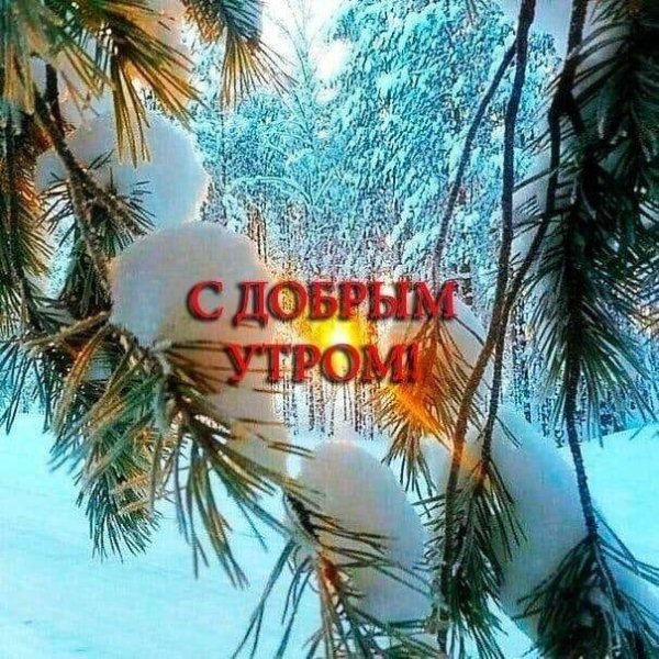 утро доброе морозное